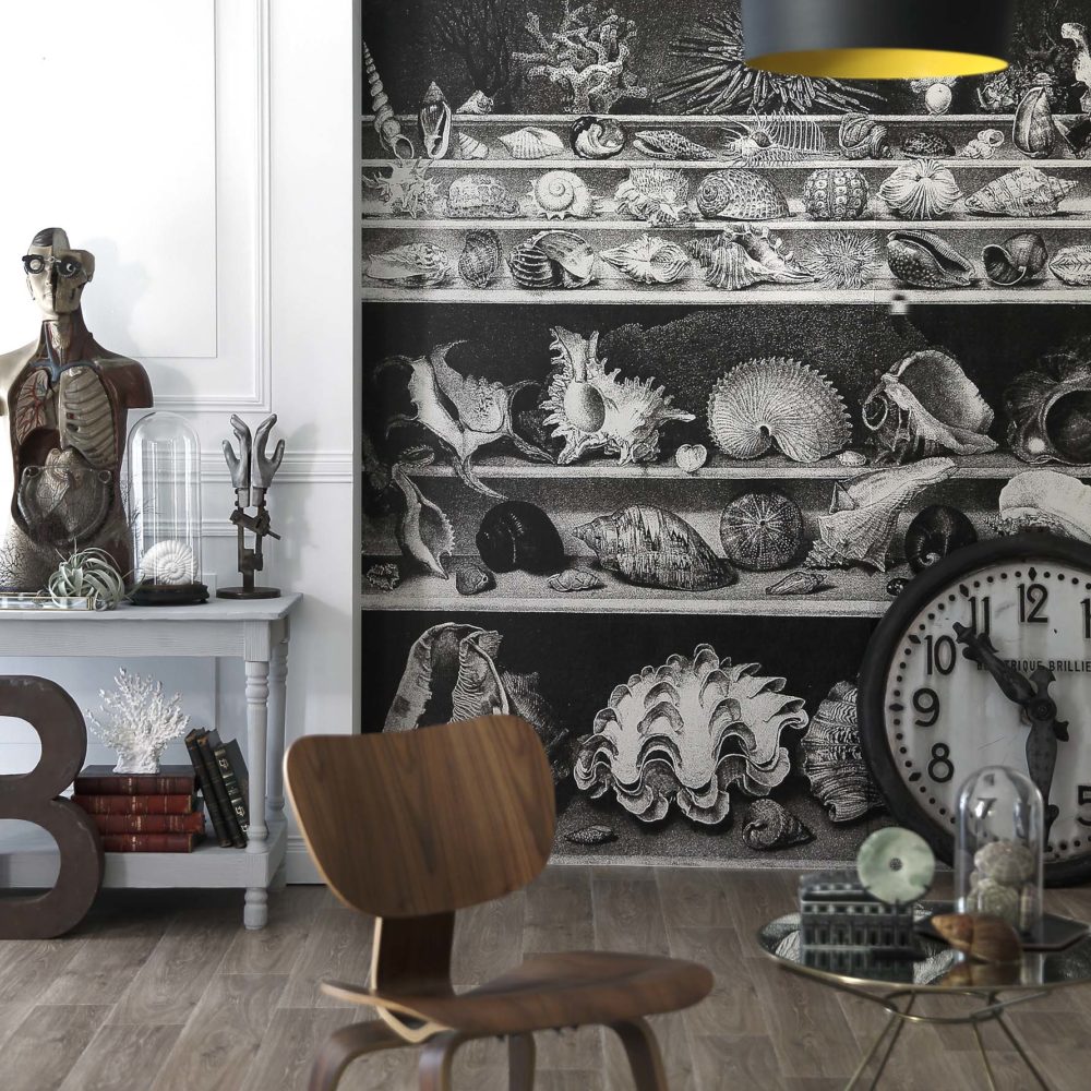 Coquillages et crustacés - CASAMANCE