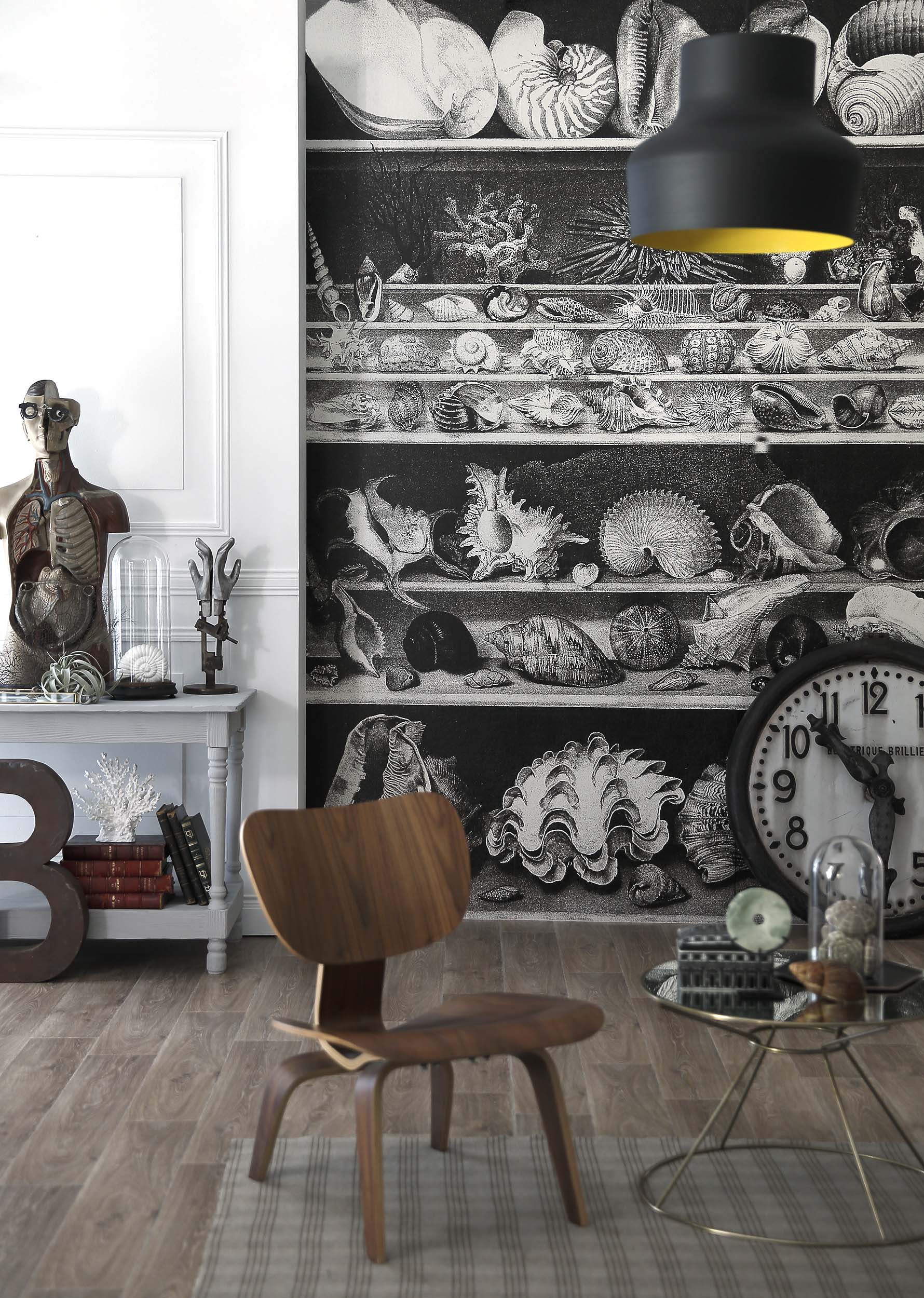 Coquillages et crustacés - CASAMANCE