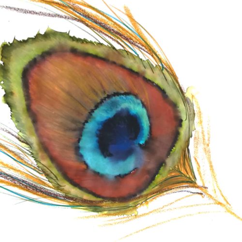 Plume