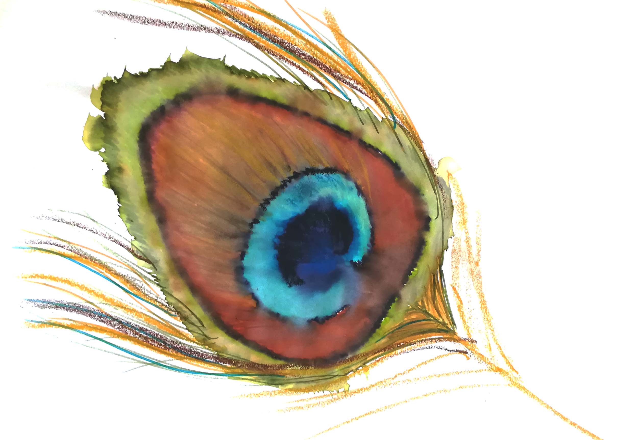 Plume